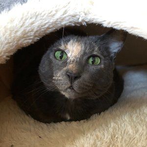 Meet your Posher, Jess